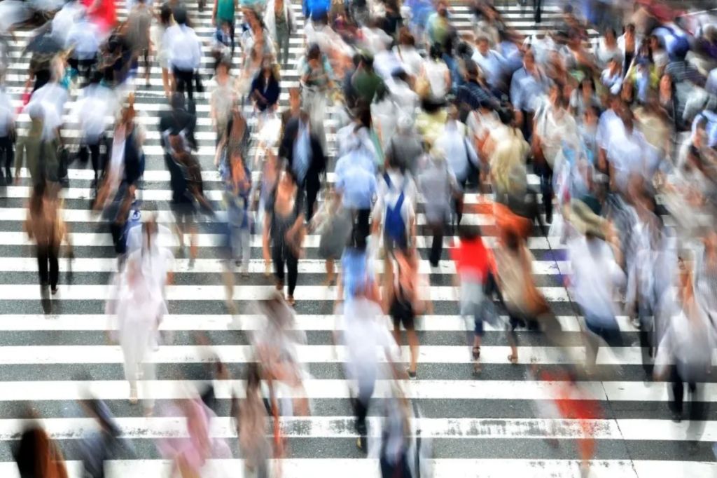 Migration reform is badly needed, but zero-immigration is no answer - News | InDaily, Inside Queensland