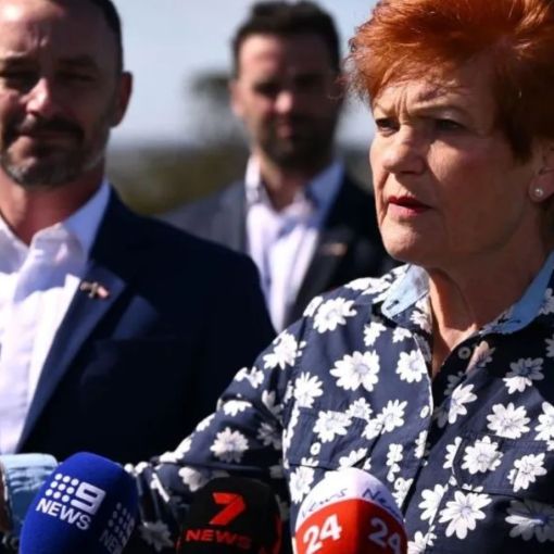 Thumbnail for ‘Politics has changed’: Labor’s One Nation problem