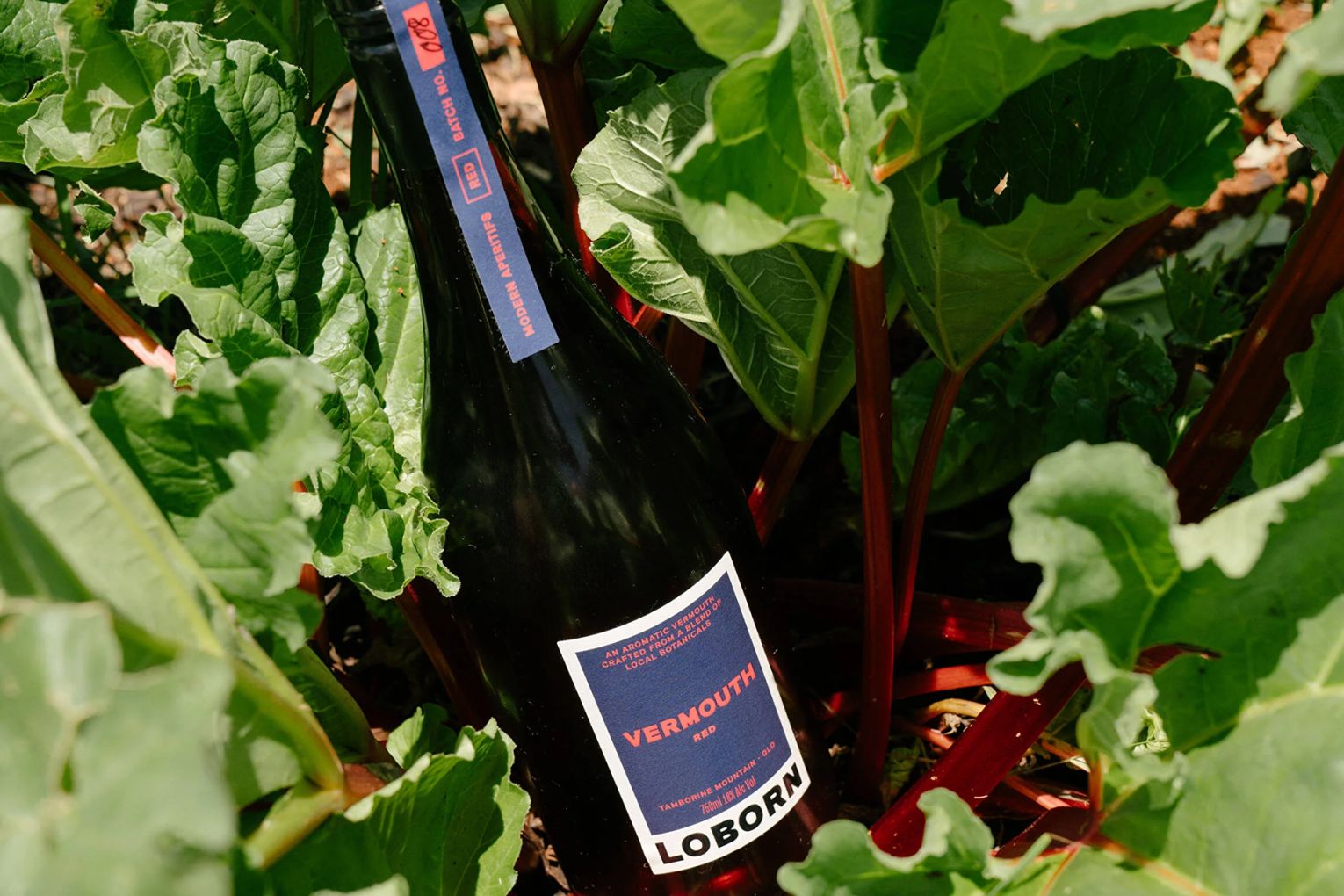Loborn was driven to craft Italy's famous bitter aperifis using local Australian botanicals to create distinctly modern sips | Credit : Wyn Herrick 