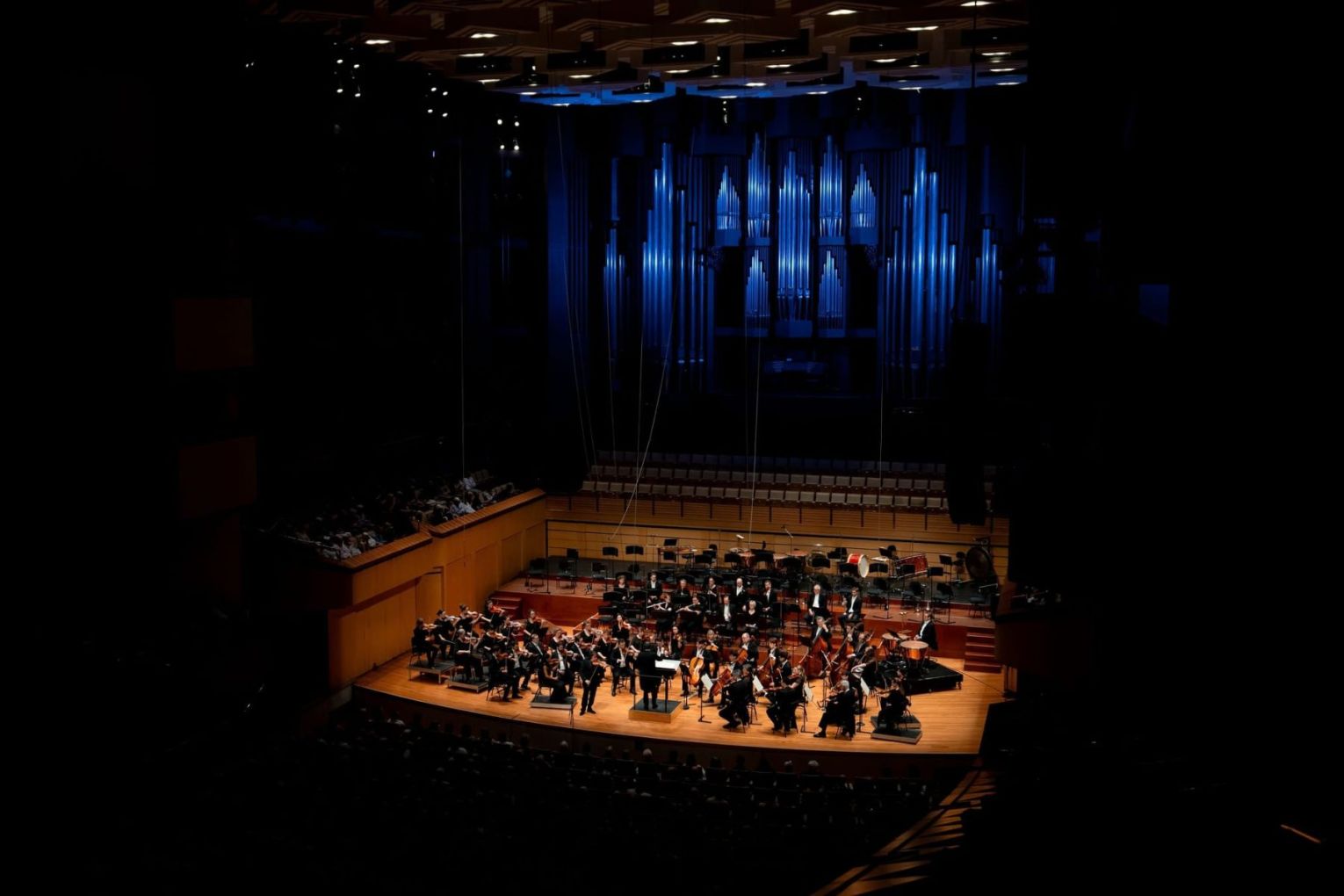 Queensland Symphony Orchestra | Credit: Sam Muller