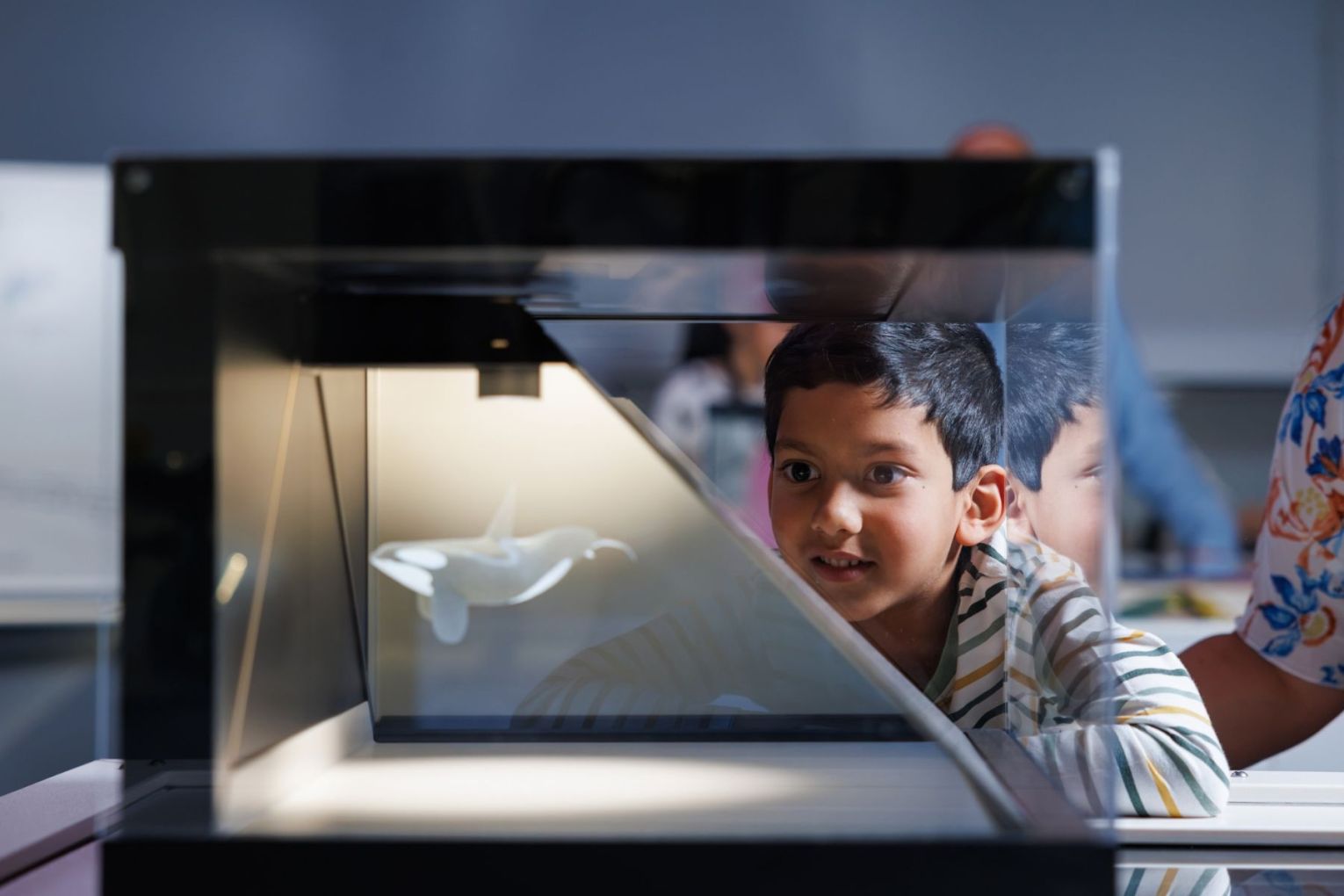 OceanXperience, Queensland Museum | Credit: image supplied