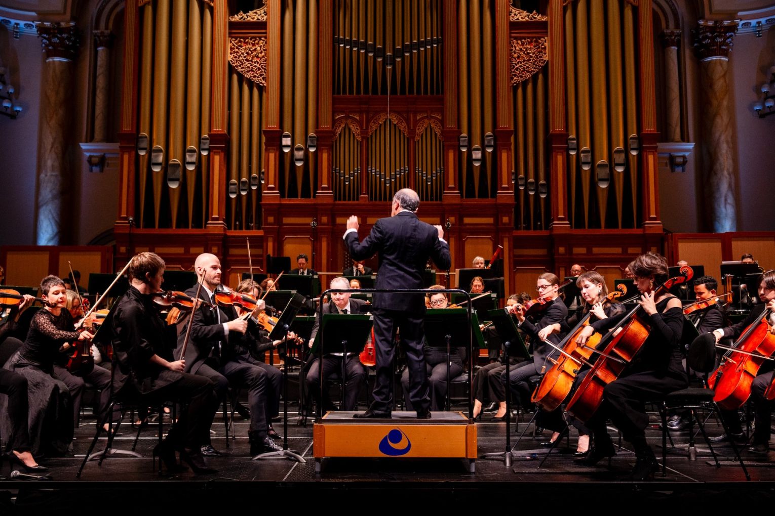 Adelaide Symphony Orchestra perform the symphonies of Sibelius at Adelaide Town Hall. Photo: Jack Fenby / Supplied
