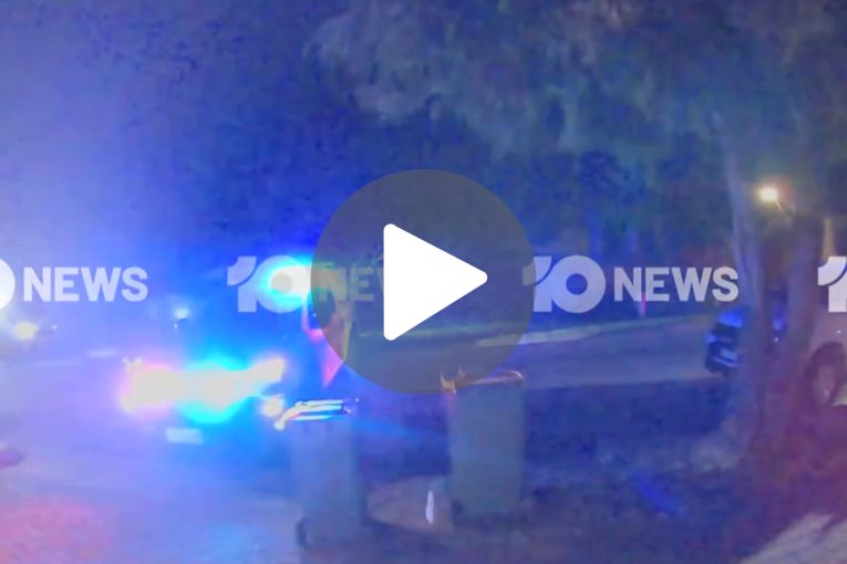 Thumbnail for VIDEO: Dog attacks police officer | Tragic River Murray discovery