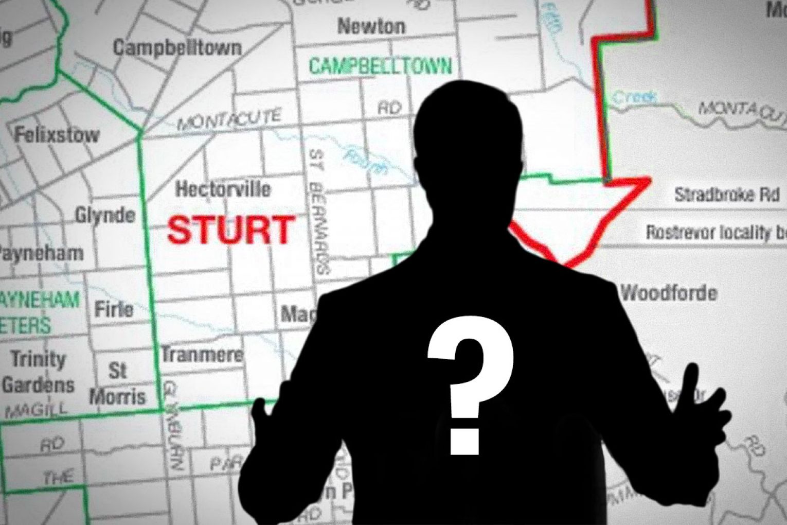 A surprise candidate has been tapped to run for an eastern suburbs federal seat. Graphic: Liam McAlister/InDaily