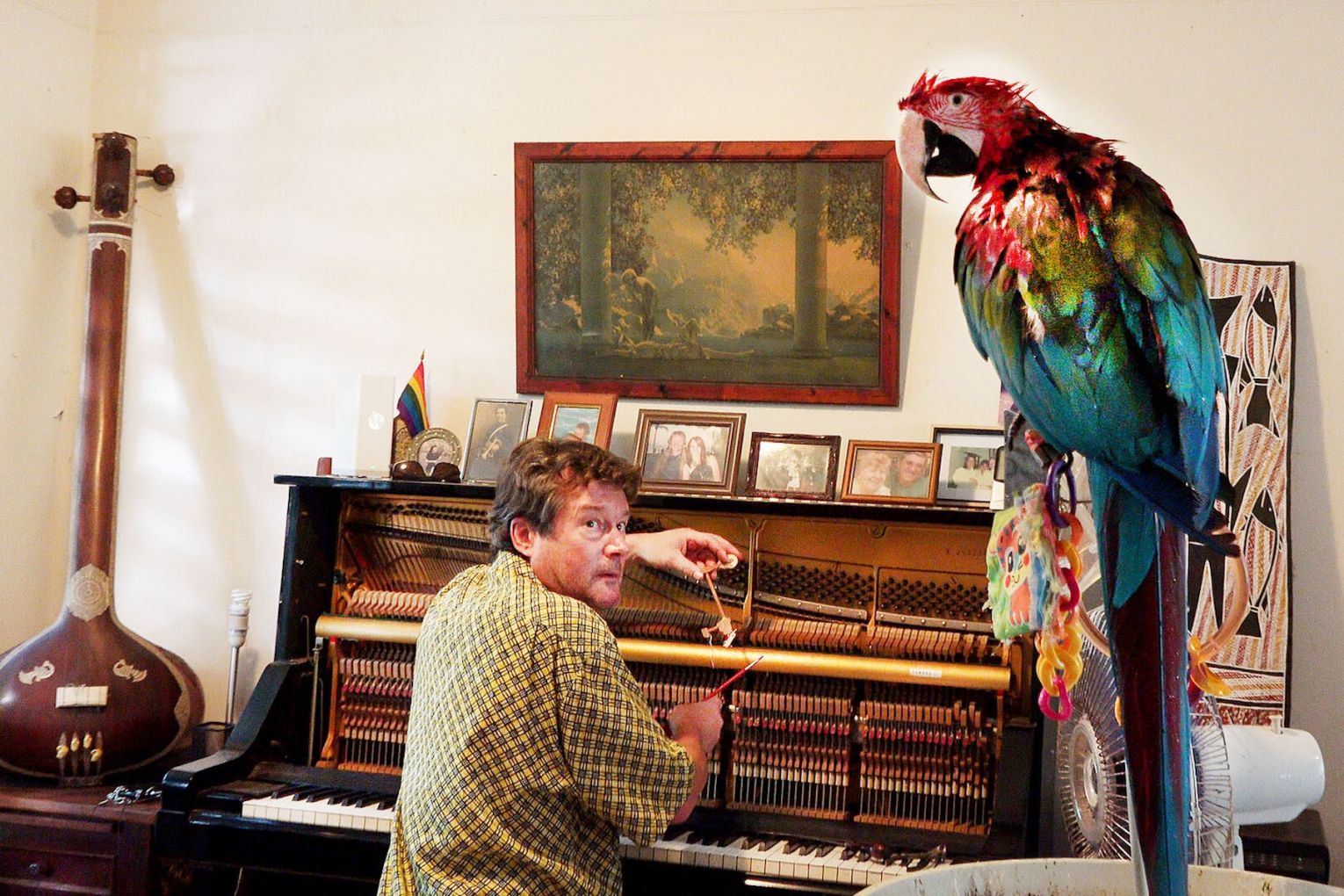 'Piano Doctor' Martin Tucker is the subject of new documentary The Piano Tuner, screening as part of Adelaide Film Festival. Photo: Supplied