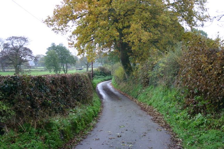 Thumbnail for Poem: The Lane