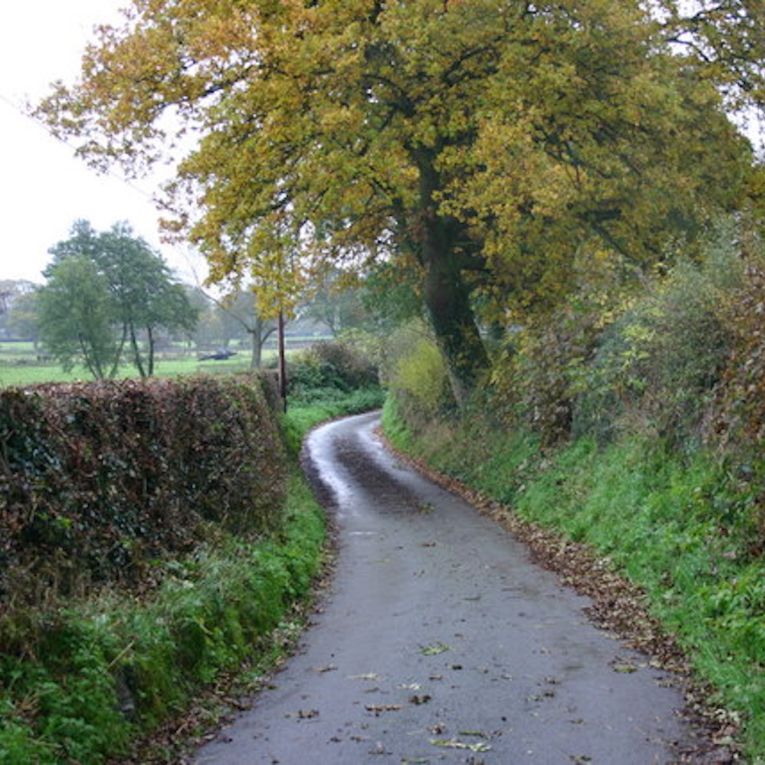 Thumbnail for Poem: The Lane