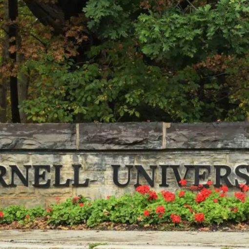 Thumbnail for What the ‘Cornell 7’ tells us about male silence, violence and misogyny