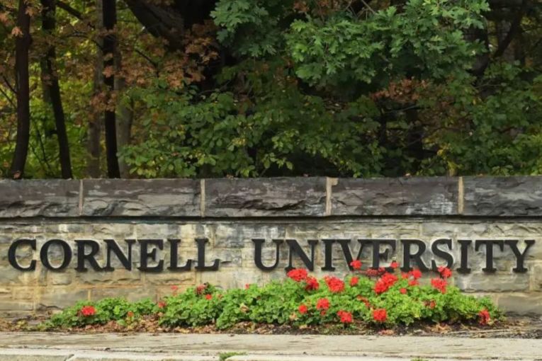 Thumbnail for What the ‘Cornell 7’ tells us about male silence, violence and misogyny