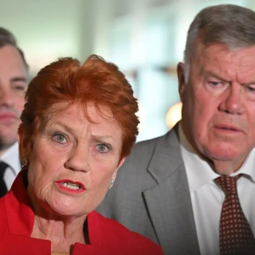 Thumbnail for Labor denies bribing One Nation MP with extra staff