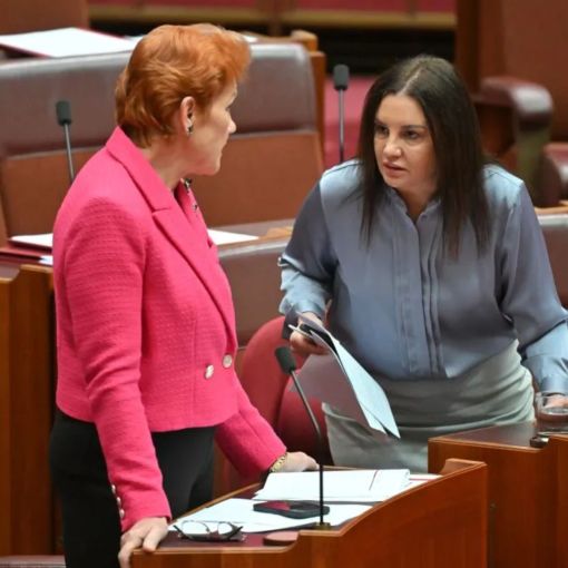 Thumbnail for Pauline Hanson apologises for vulgar cartoon on rival