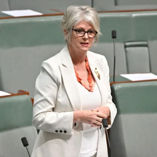 Thumbnail for Tears, tributes in parliament for wounded MP