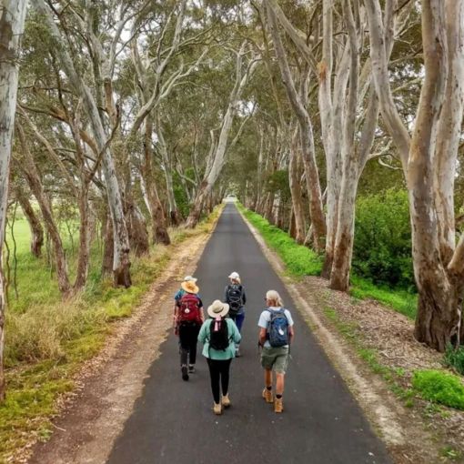 Thumbnail for Australia’s answer to the Camino de Santiago is hiding in SA
