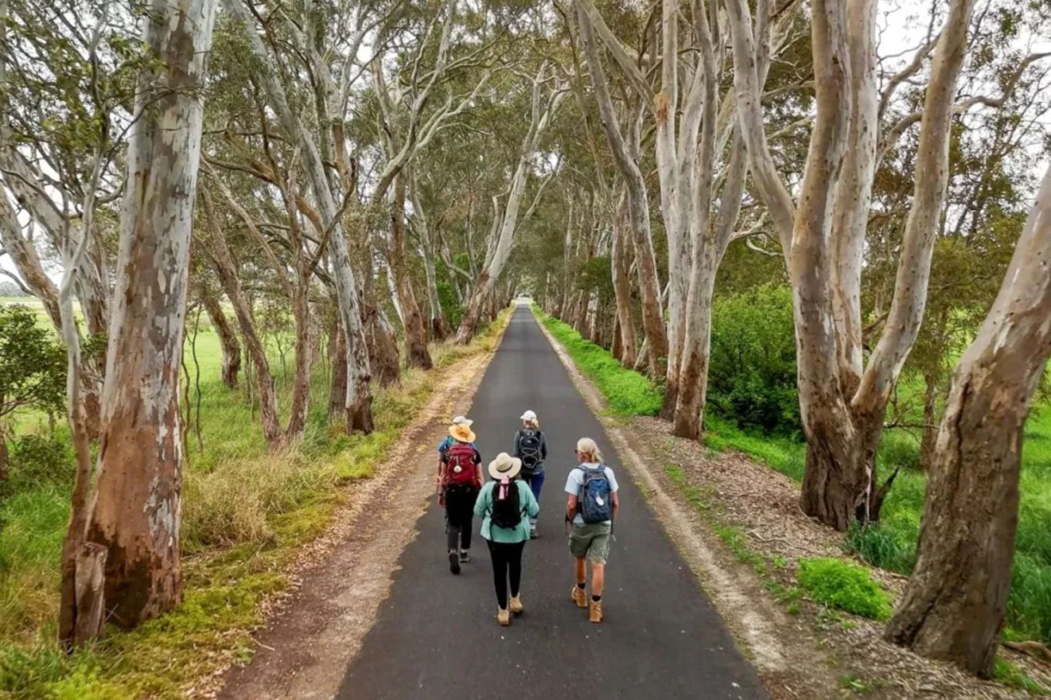 The walk takes in a gently varying countryside.
