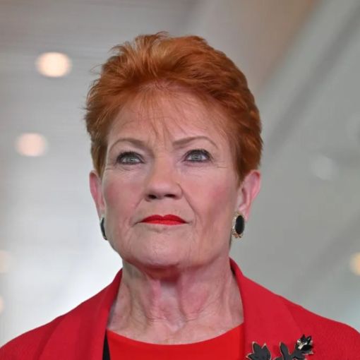 Thumbnail for Voters cool on One Nation in latest polls