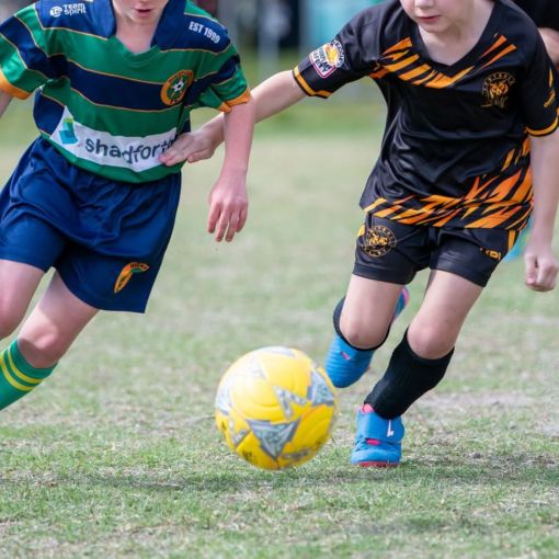 Thumbnail for Qld soccer clubs call foul over fee hike