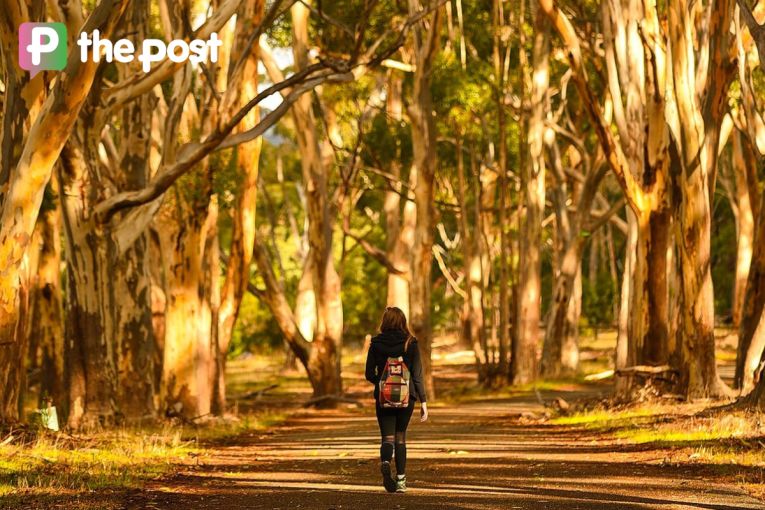 Thumbnail for 13 Adelaide walks to put on your weekend list